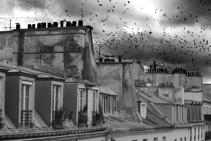 Paris by Antonio Barros